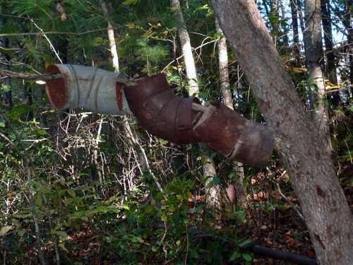 stove pipe in tree