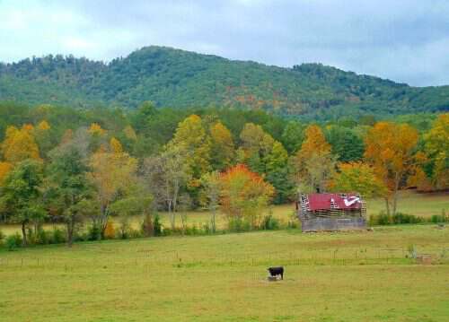 Fields of home