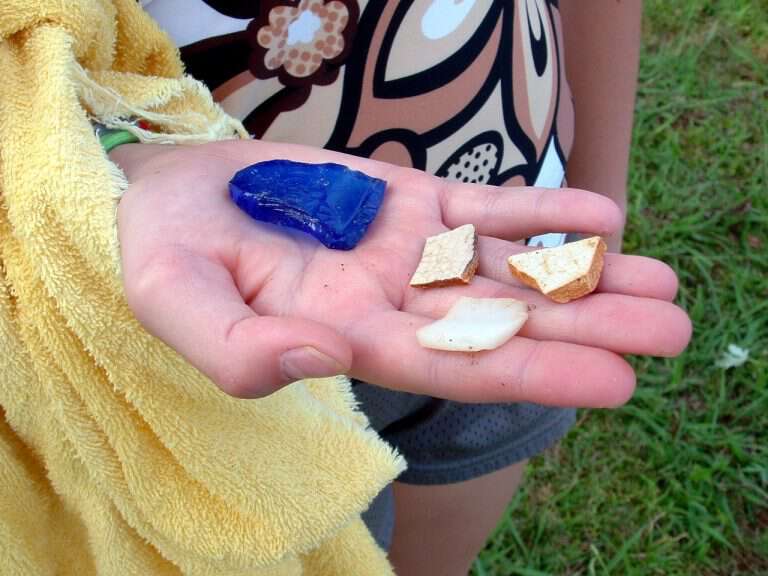 treasures from the lake