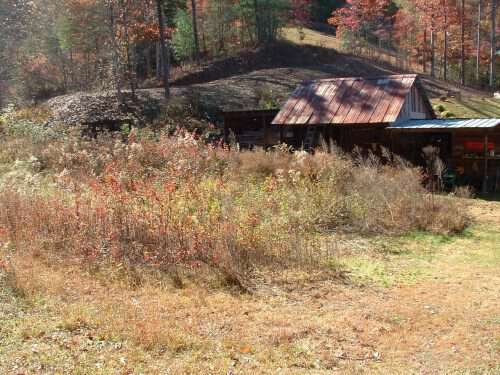 shed barn