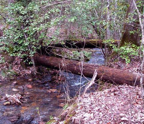 Appalachian Creek