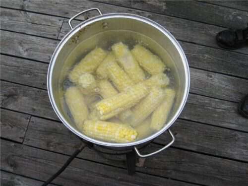 Pickled Sweet Corn – Garlic (x12) – Master of Angler