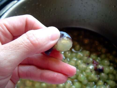 grape hull jelly