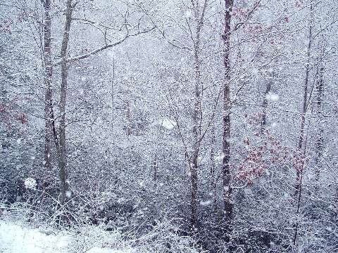 snow in western nc