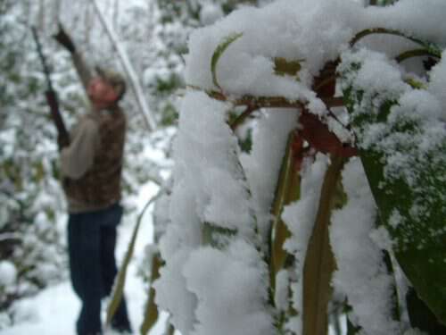 walking in a winter wonderland