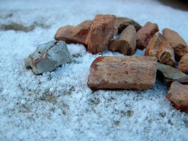 hunting for fairy crosses