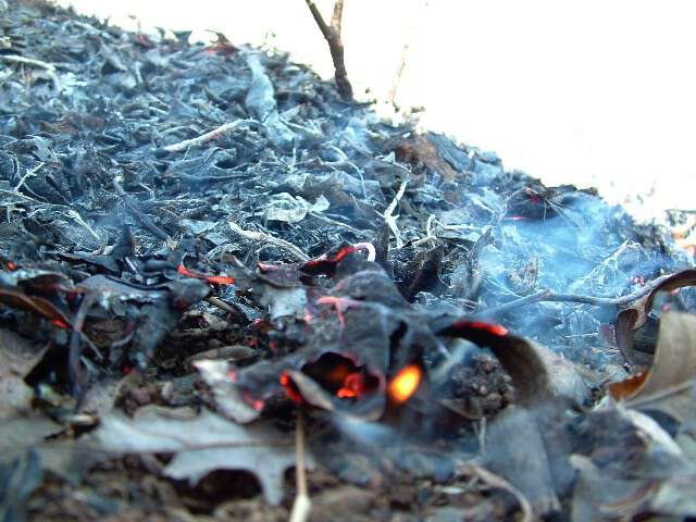 Appalachia Through My Eyes – Time To Burn The Garden