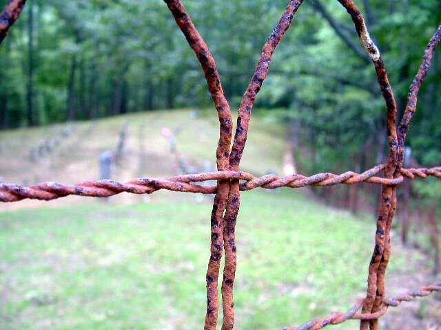 Appalachia Through My Eyes – The Fence Around The Graveyard