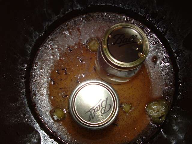 5th Step Of The Blind Pig & The Acorn’s Pickle Along