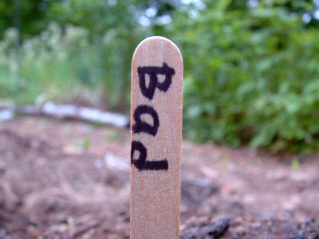 Planting By The Signs For April 2010