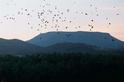Crows & House Mountain Lexington VA