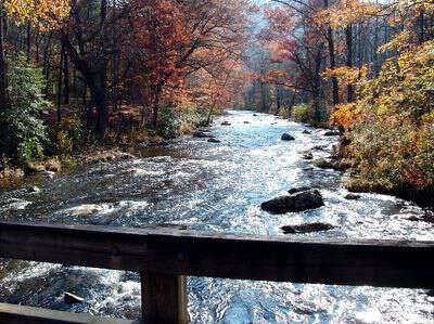 Hazel Creek in the Great Smoky Mountains National Park is one of