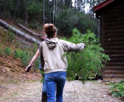 My life in appalachia - Getting The Christmas Tree