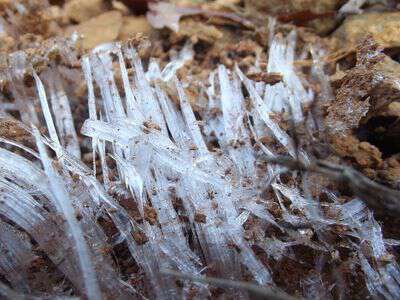 My life in appalachia - Ice Needles