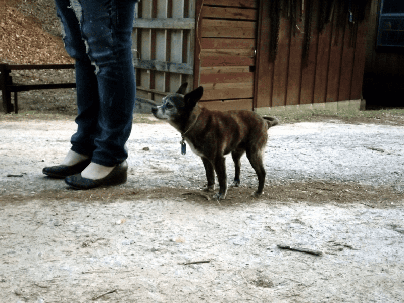 My life in appalachia - Weak Trembles