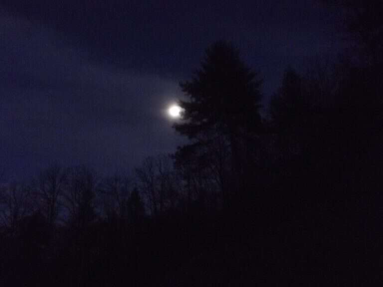 Southern Moon Shine Down Again