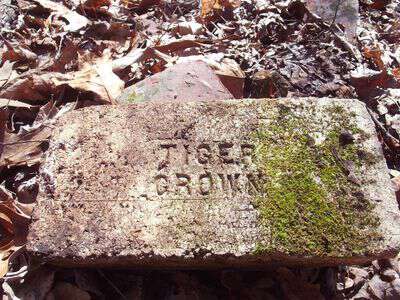 My life in appalachia - Tiger Crown Bricks