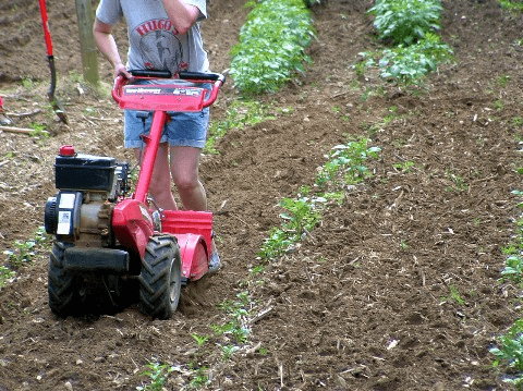 Appalachian Vocabulary Test - The Garden Edition