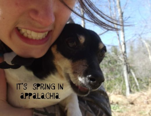 girl holding little dog in the spring