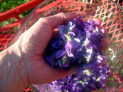 How to make violet jelly