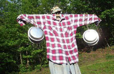 Scarecrow how to make one