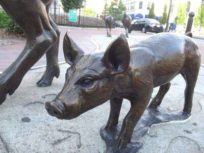 Pigs in asheville too