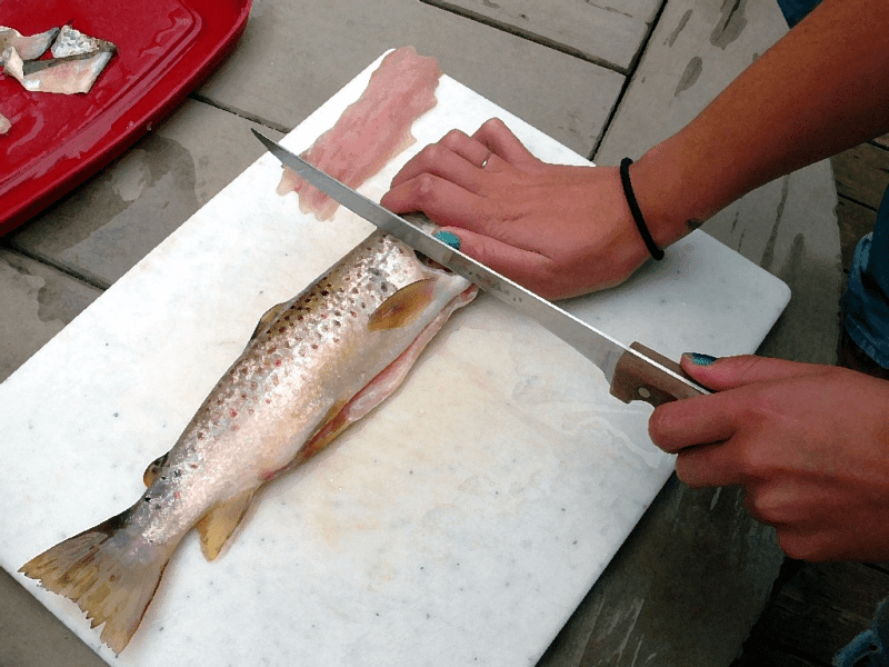 Fish in appalachia