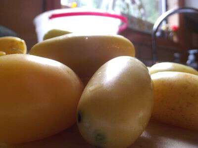 Yellow tomato preserves