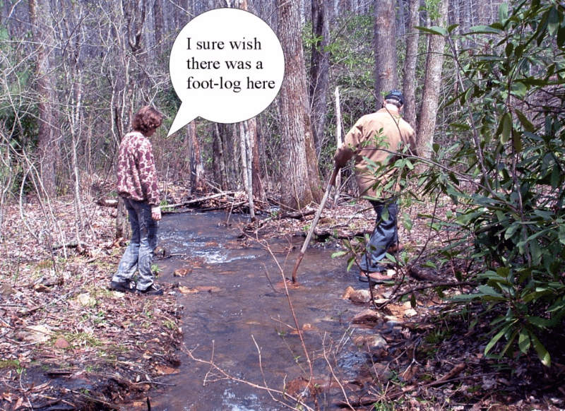 My life in appalachia - Foot Logs