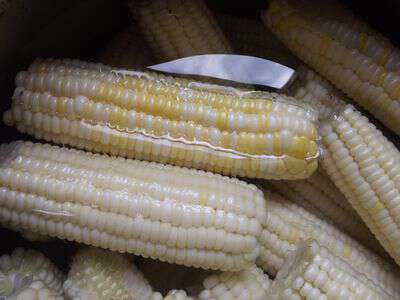 Pickled corn