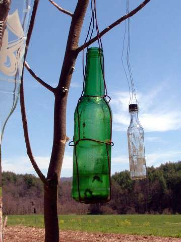 Garden Folklore: The Bottle Tree