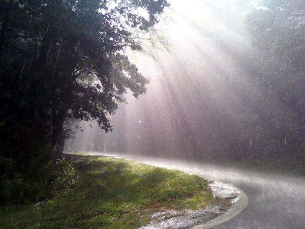 Sunshine In More Ways Than One
