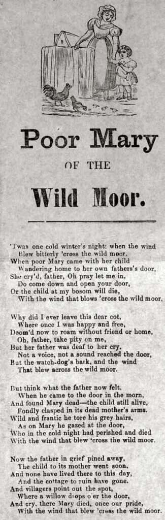 The Winds Blew Across The Wild Moor