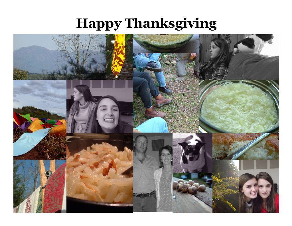 Happy Thanksgiving From The Blind Pig & The Acorn Blind Pig and The Acorn