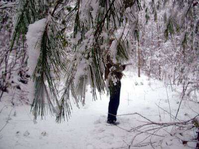 Walking in a winter wonderland