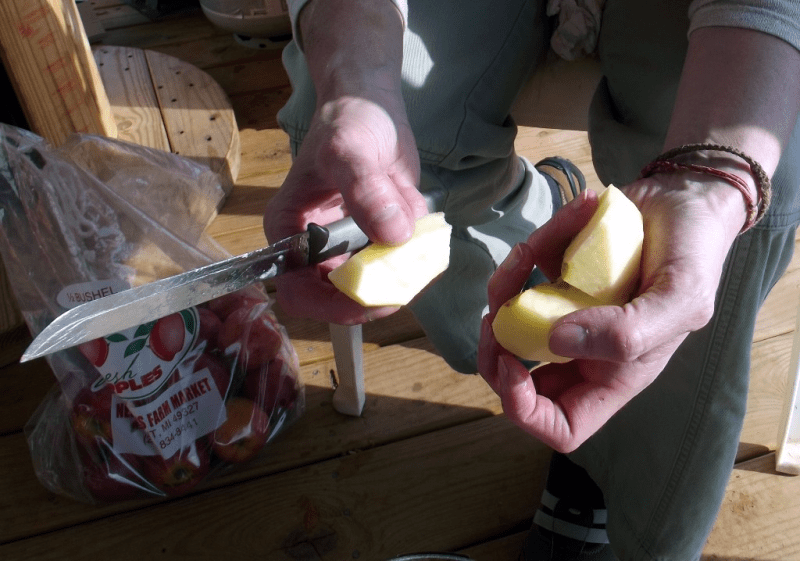 Drying apples with dehydrator 2