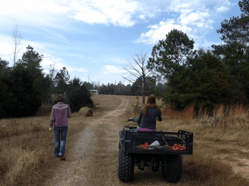 Hanging out at deer camp