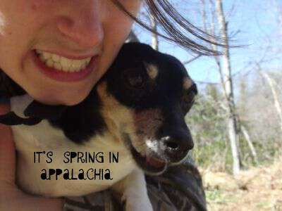 Spring In The Appalachian Language