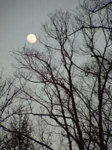 Bright moon shining in the valley