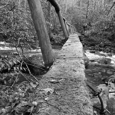 Appalachian Vocabulary Test 61 foot log