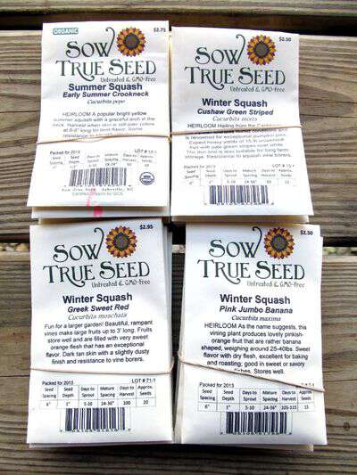 Sow True Seed summer squash