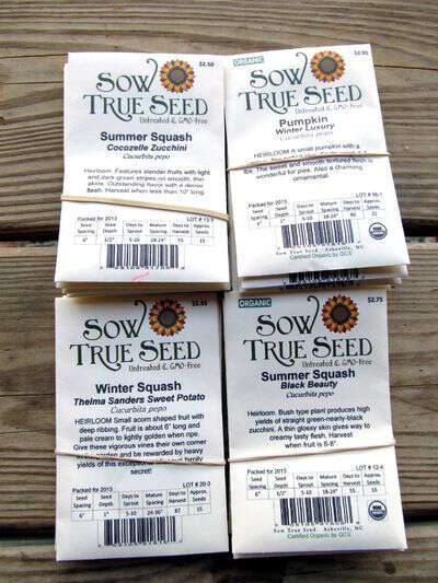 Sow true seed squash