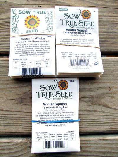 Sow true seed squash varieties
