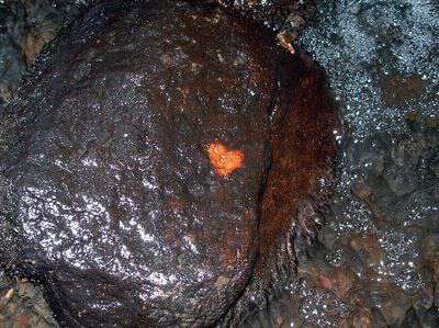 Finding heart rocks in the creeks of appalachia