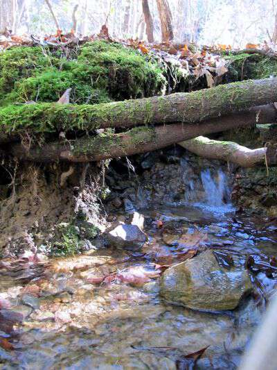 Under ground creek in appalachia
