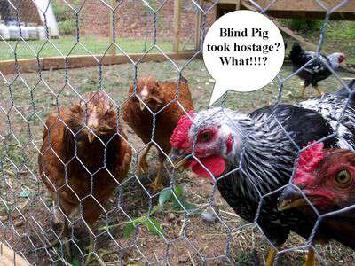 Blind Pig took hostage