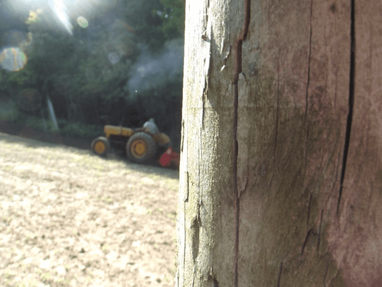 My life in appalachia plowing