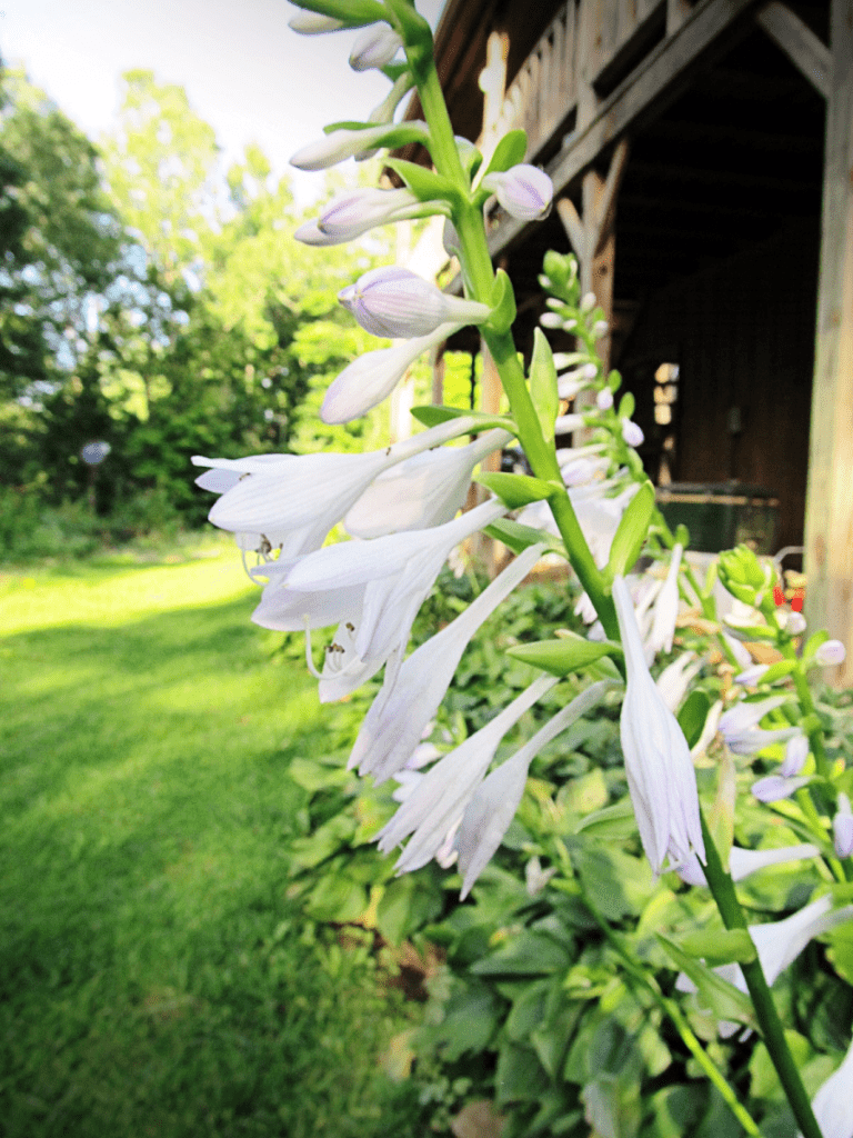 My life in appalachia a change is coming