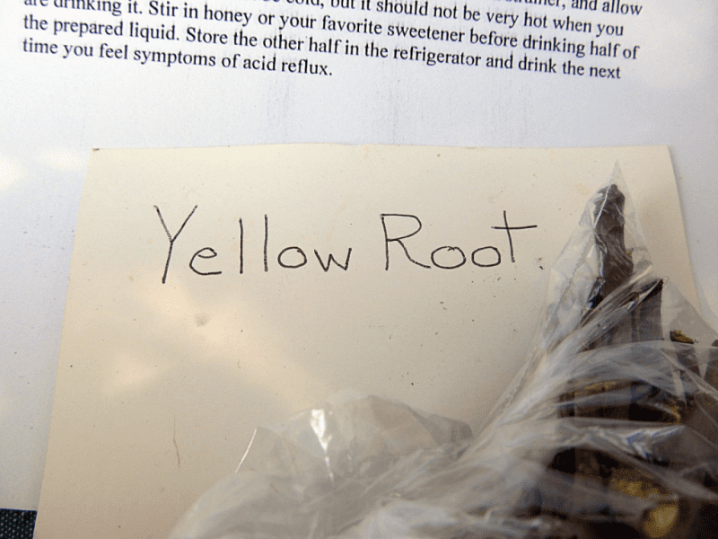 Yellow Root for medicinal purposes