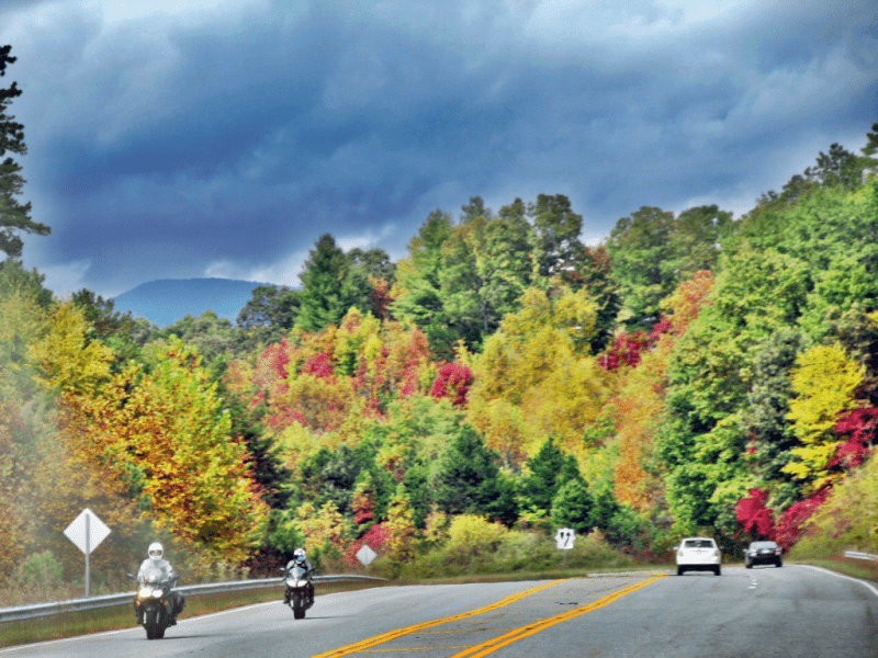 Appalachia Through My Eyes - Fall Color Is Here